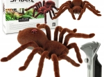 Renn-Tarantel-Spinne mit Fernsteuerung und blinkenden Augen