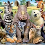 Educa Puzzle Klassenfoto 300 Teile