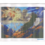 Diamantmalerei Majestätischer Greifvogel