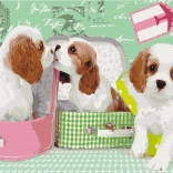 Paint it! Malen nach Zahlen: Niedliche Hundchen