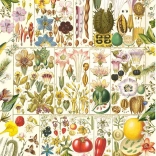 Puzzle Botanische Glückseligkeit 1000 Teile