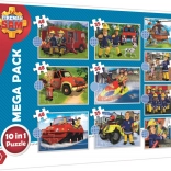 Puzzle Erkenne das Rettungsteam Sam