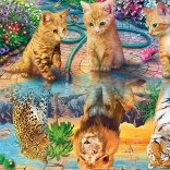 Norimpex Diamantmalerei Katzen-Träume 30x40 cm