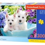 Puzzle mit 200 Teilen – Westie-Welpen