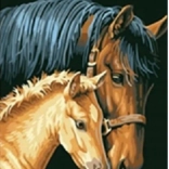 Diamantmalerei Stute mit Fohlen 30x40 cm