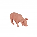 Realistische Schweinchen-Figur Mojo