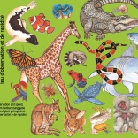 Kartenspiel Zanimatch