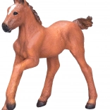 Mojo Arabisches hellbraunes Fohlen