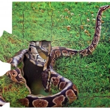 Just Jigsaws Hatte einen Lebenszyklus aus geschichteten Holzpuzzles