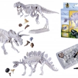 Set zum Ausgraben und Zusammenbauen von Dinosaurier-Skeletten