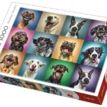 Puzzle lustige Hunde-Porträts – 1000 Teile