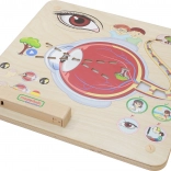 Masterkidz Edukative Seh-Tafel Montessori