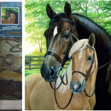 Norimpex Diamantmalerei – Pferde 30 × 40 cm