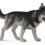 Collecta Sibirischer Husky – Figur