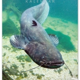 Wandkalender Angeln 2026