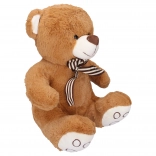 Brauner Plüsch-Teddybär 40 cm