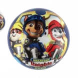 Ball Paw Patrol 23 cm blau im Netz