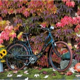 Puzzle Magie des Herbstes 1000 Teile PIATNIK