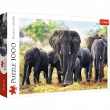 Puzzle 1000 Teile – Afrikanische Elefanten TREFL