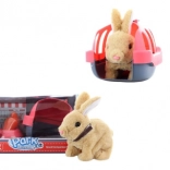 Batterie-Hase mit Transportbox