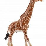 Schleich Wild Life Giraffenmännchen Figur