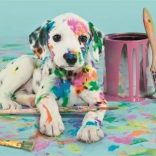 Puzzle 500 Teile Lustiger Dalmatiner