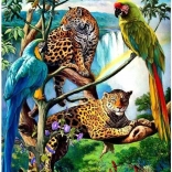 Norimpex Diamantmalerei Papageien und Leoparden 30x40 cm