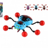 Spinne kriecht an Glas