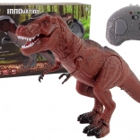 Funkferngesteuerter Tyrannosaurus Rex mit Batterie und Sound