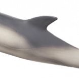 Mojo Delfin realistische Figur