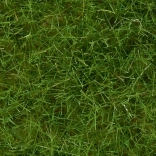 Statische Wiese wild hellgrün 6 mm Noch