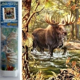 Norimpex Diamantmalerei Lachs im Fluss 30x40cm