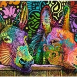 Puzzle 1000 Teile – Verliebte Esel (Jelly Pets) – Heye