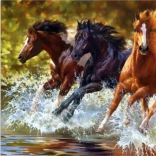 Diamantmalerei – Pferde im Fluss 30 × 40 cm