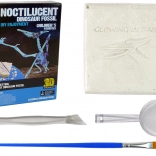 Archäologisches Set mit Dinosaurier-Skelett-Ausgrabungen - Pteranodon