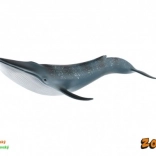 Blauwal-Modell 27 cm