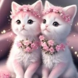 Diamantmalerei Rosa Kätzchen 30x40cm