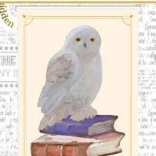 Magnetisches Lesezeichen Harry Potter Hedwig
