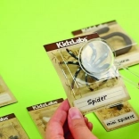 Eduktions-Set Ausgrabungen – Käfer