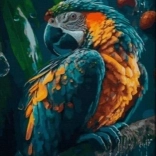 Diamant Malerei Papagei 30x40 cm