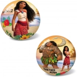 Ball Vaiana II 23 cm