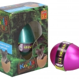 Wachsendes Ei Koala 6,5 cm