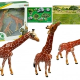 Bildungsfiguren Giraffen Familie 3 Stk + Hintergrund Afrika