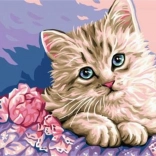 Diamantmalerei Katzenaugen 30 × 40 cm – NORIMPEX