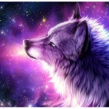 Diamantmalerei Wolfsträume 30x40 cm