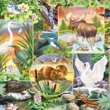 Familienpuzzle Flusszauber 350 Teile COBBLE HILL