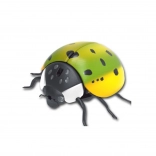 Elektronischer krabbelnder Marienkäfer mit Bewegungssensor