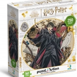 Puzzle DODO Harry Potter: Junger Zauberer 250 Teile