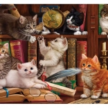 Puzzle Kätzchen in der Bibliothek 500 Teile