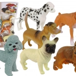 Set mit 6 Hundefiguren – realistische Rassenfiguren